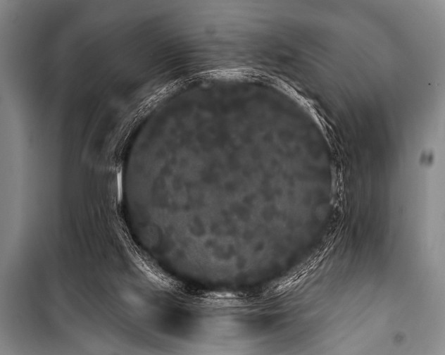 X0000101230061200806271521