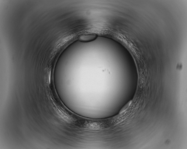 X0000101230062200806271521