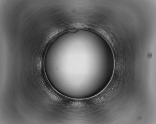 X0000101230063200806271521