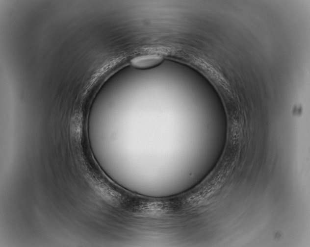 X0000101230064200806271521
