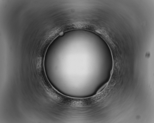 X0000101230066200806271521