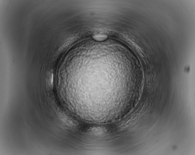 X0000101230067200806271521