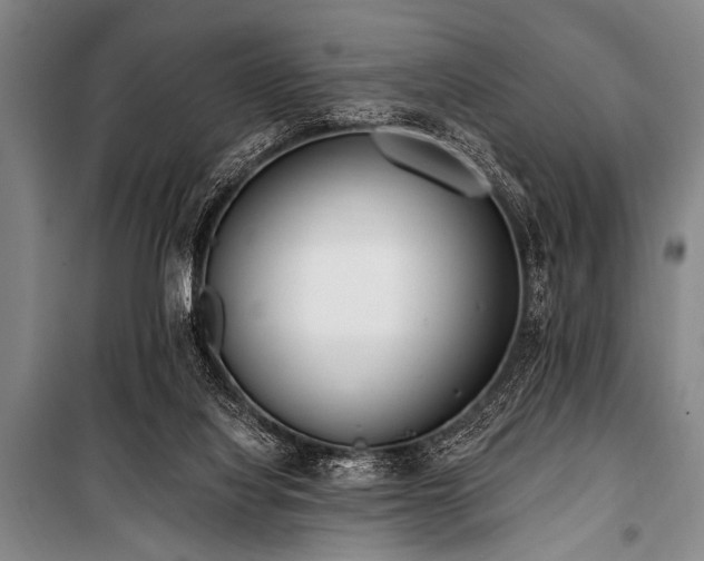 X0000101230068200806271521
