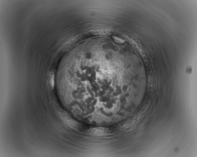 X0000101230069200806271521
