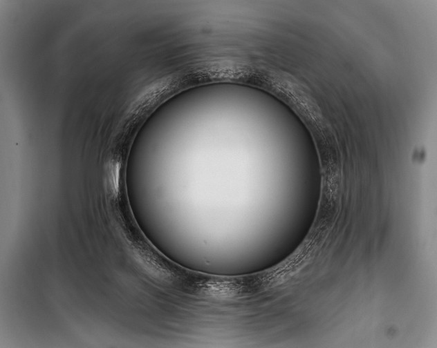X0000101230070200806271521
