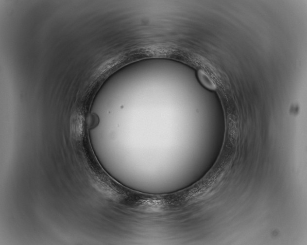 X0000101230071200806271521