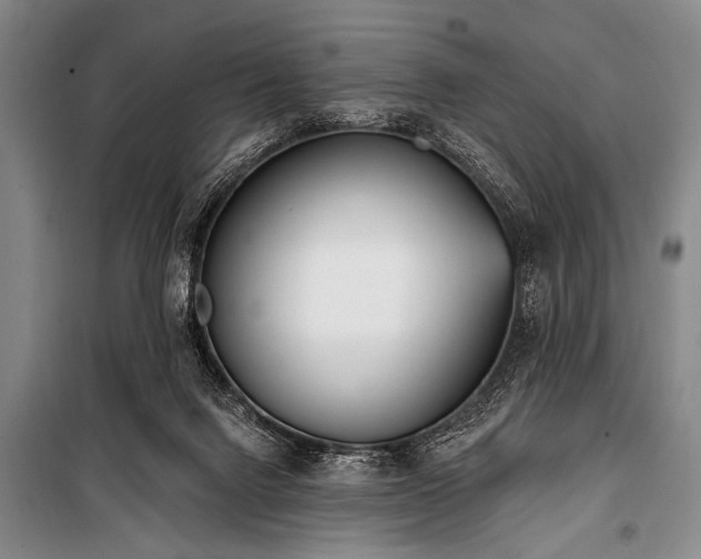 X0000101230072200806271521