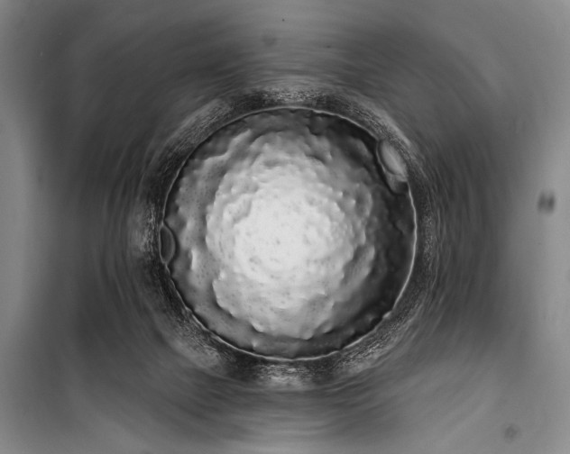 X0000101230073200806271521