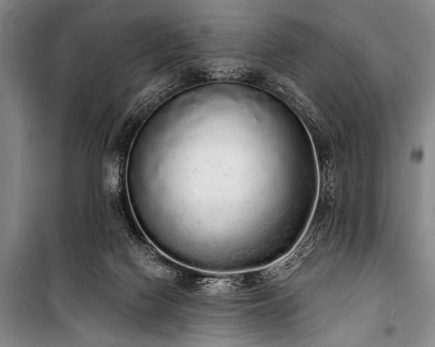 X0000101230074200806271521