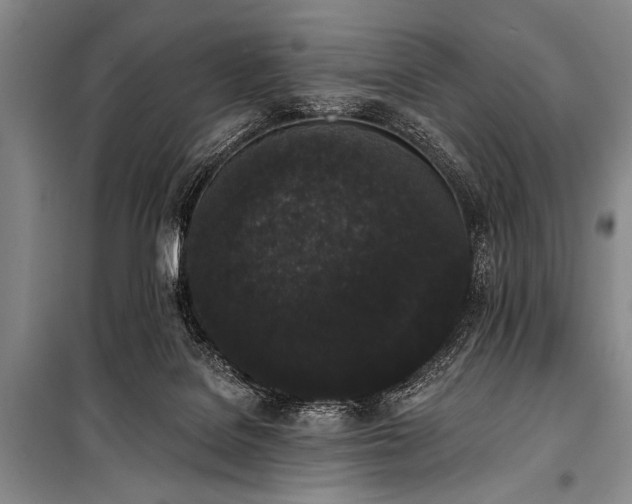X0000101230076200806271521