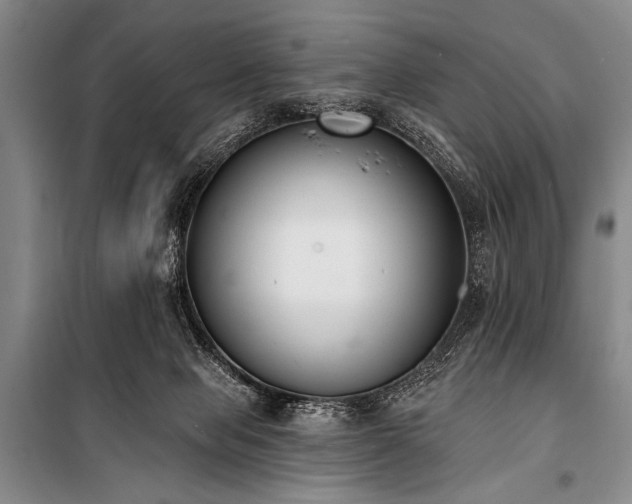 X0000101230077200806271521