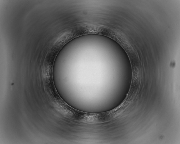 X0000101230078200806271521