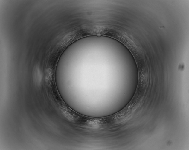 X0000101230079200806271521