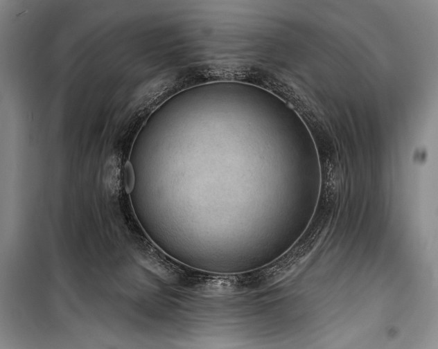 X0000101230080200806271521