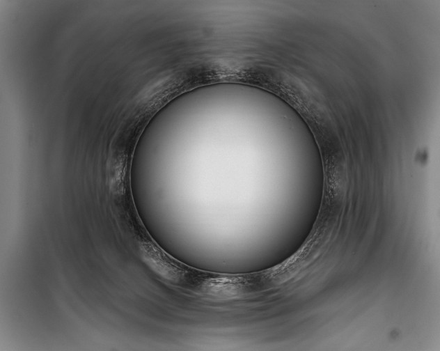 X0000101230082200806271521