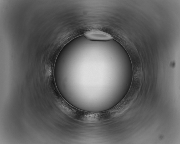 X0000101230084200806271521