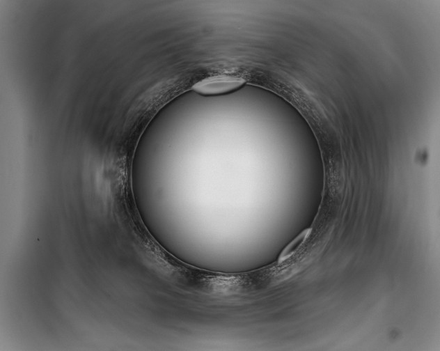 X0000101230085200806271521
