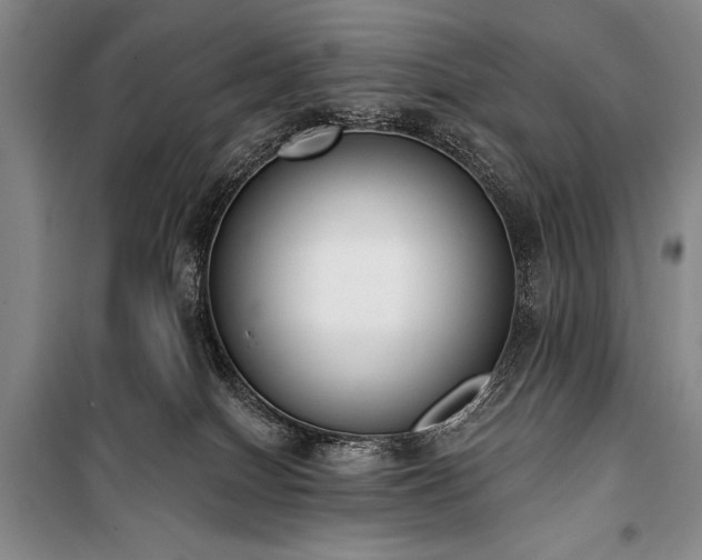 X0000101230086200806271521