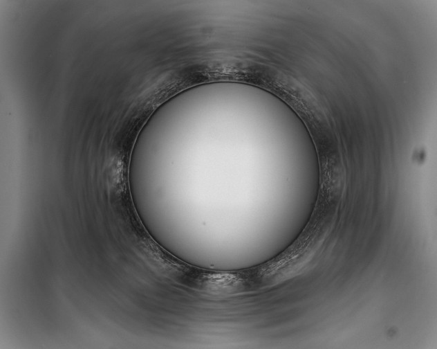 X0000101230087200806271521
