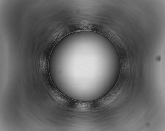 X0000101230088200806271521