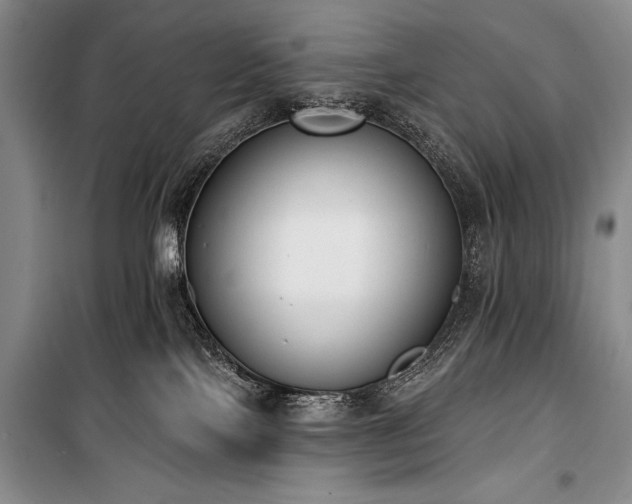 X0000101230089200806271521