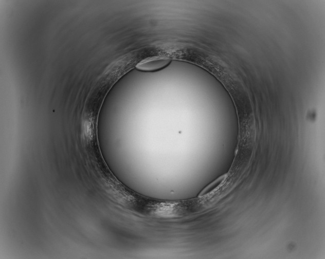 X0000101230090200806271521