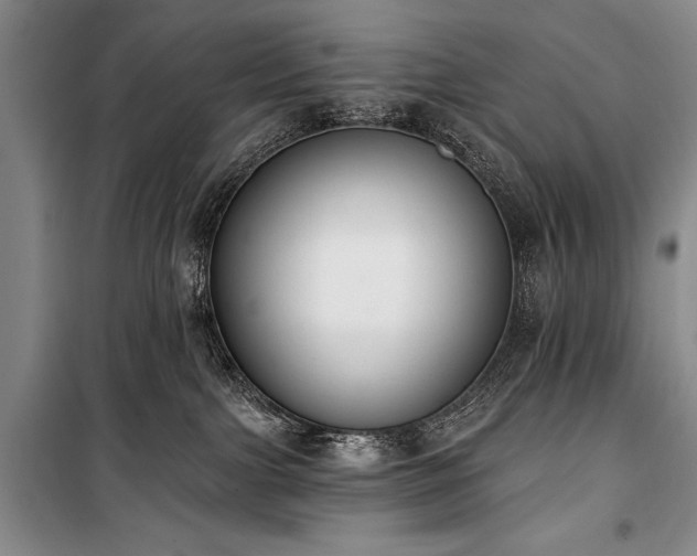 X0000101230091200806271521