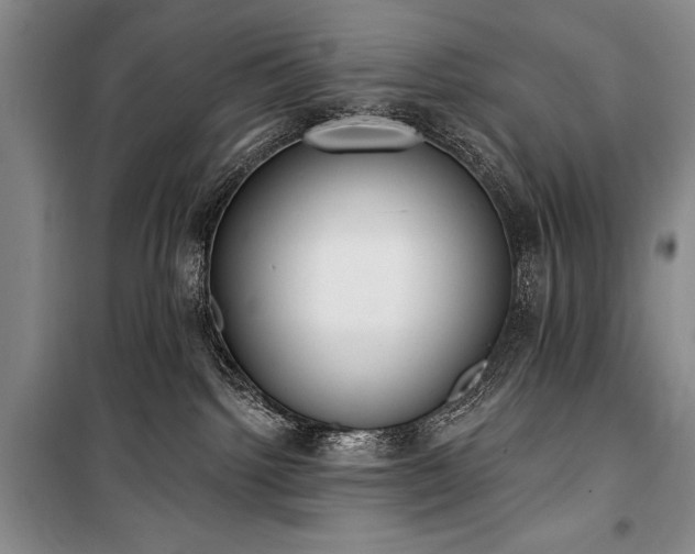 X0000101230092200806271521