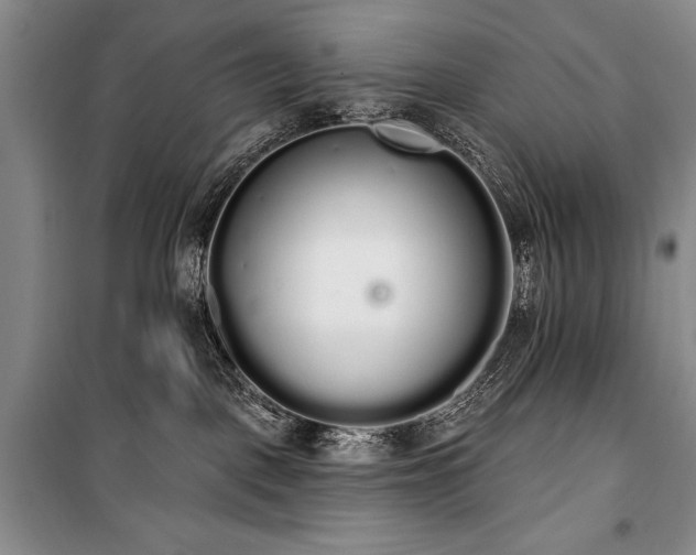 X0000101230093200806271521