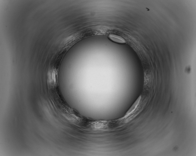 X0000101230094200806271521