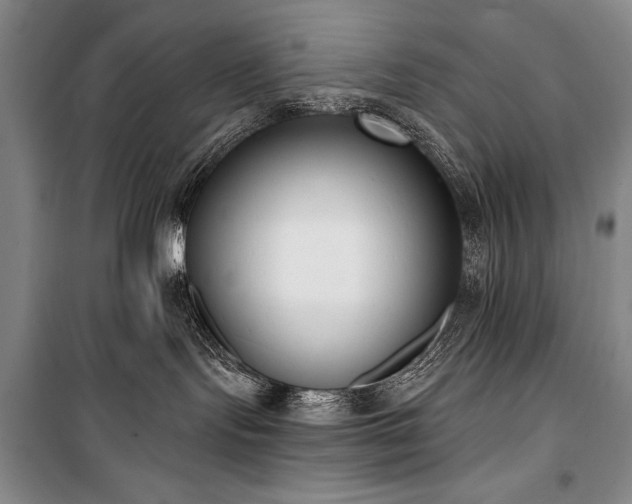 X0000101230095200806271521