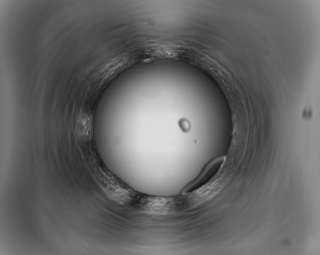 X0000101230096200806271521