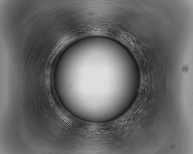 X0000101230098200806271521