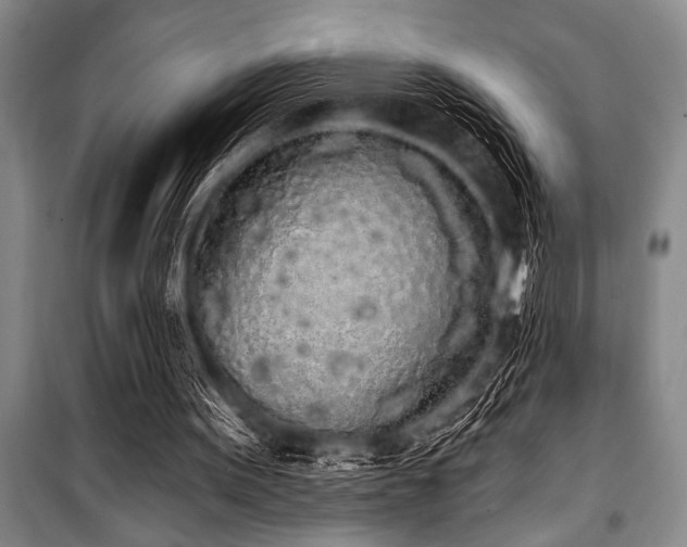 X0000101230099200806271521