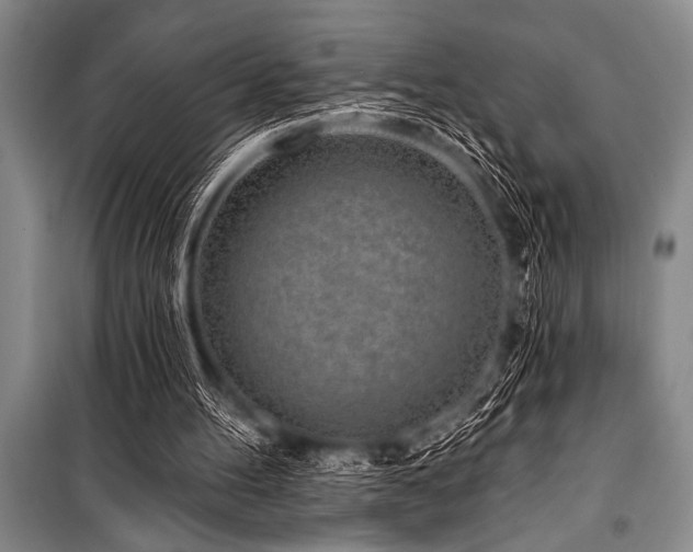 X0000101230100200806271521