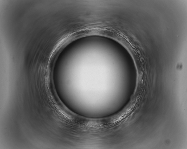 X0000101230101200806271521