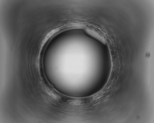 X0000101230104200806271521