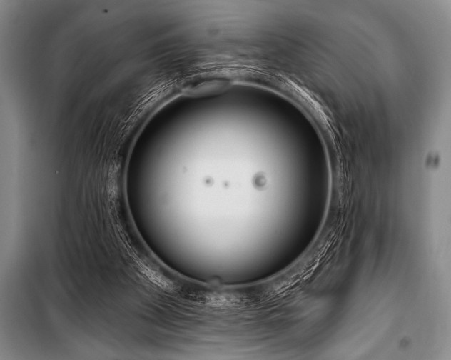 X0000101230105200806271521