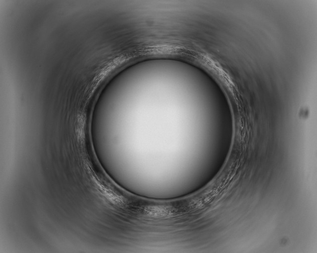 X0000101230107200806271520