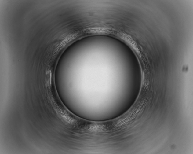 X0000101230109200806271520