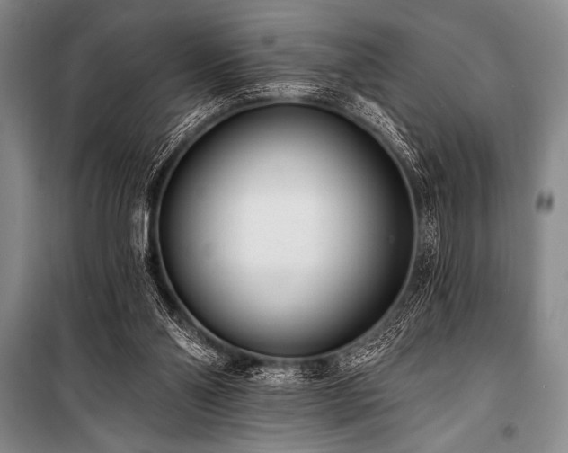 X0000101230110200806271520