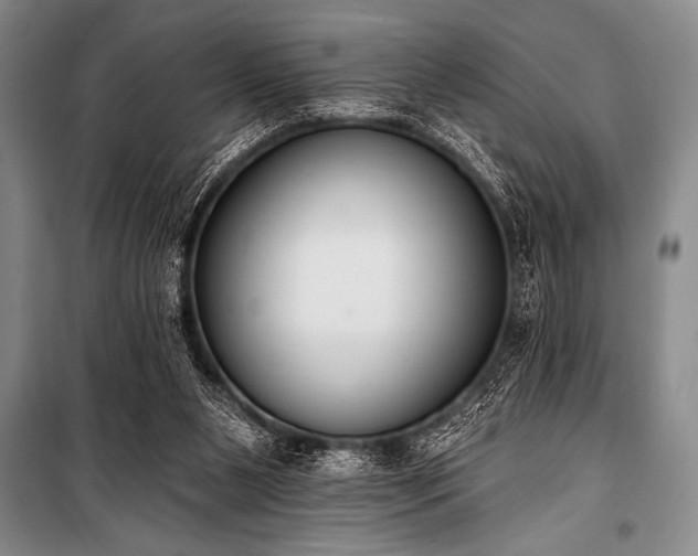 X0000101230111200806271520