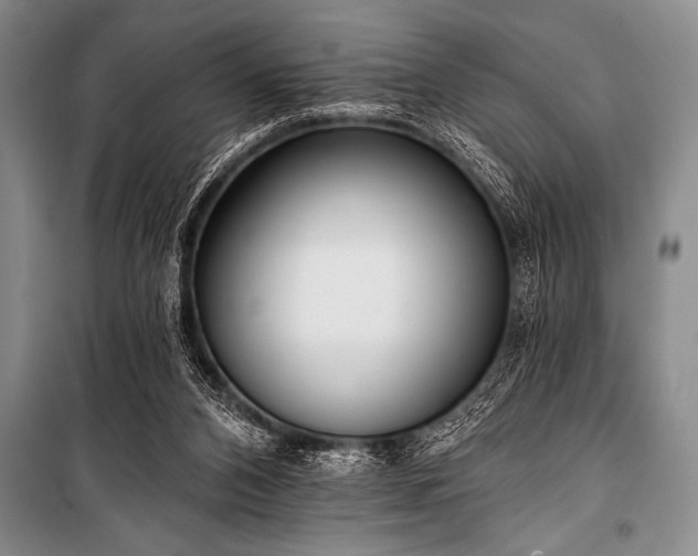 X0000101230112200806271520