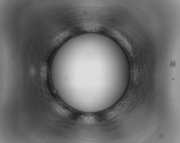 X0000101230113200806271520