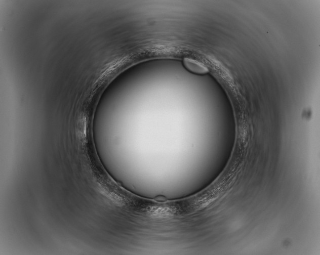 X0000101230115200806271520