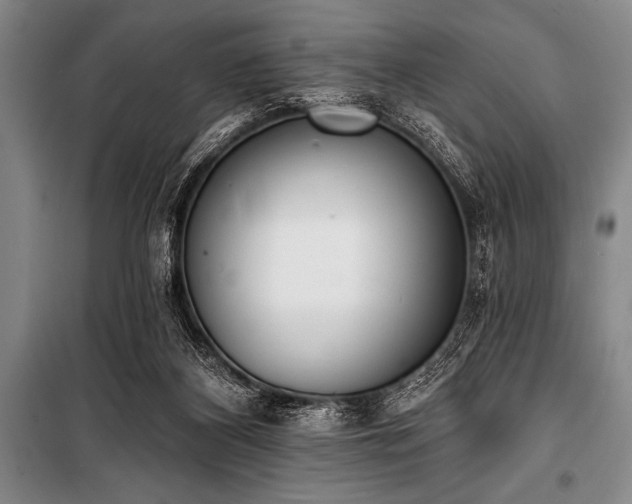 X0000101230116200806271520