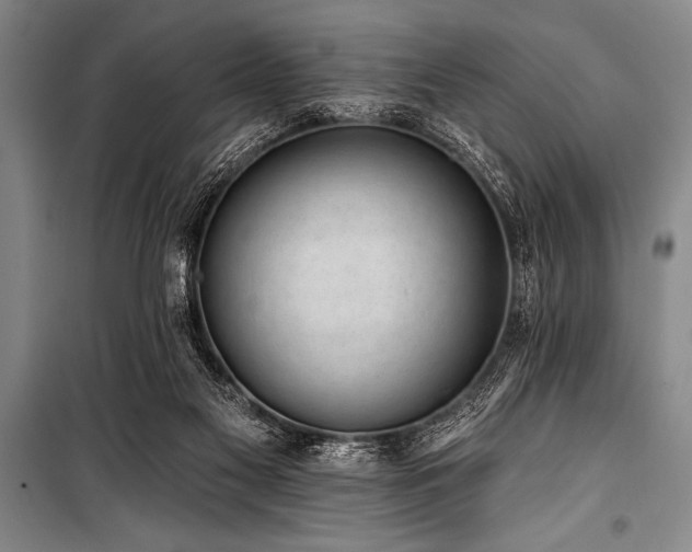 X0000101230117200806271520