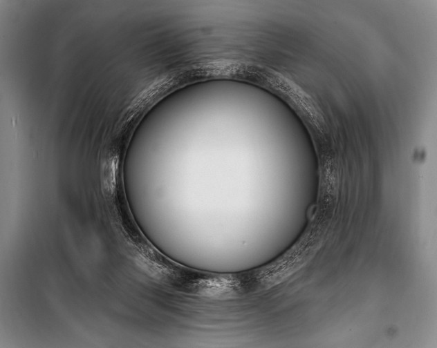 X0000101230118200806271520