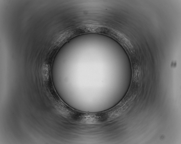 X0000101230121200806271520