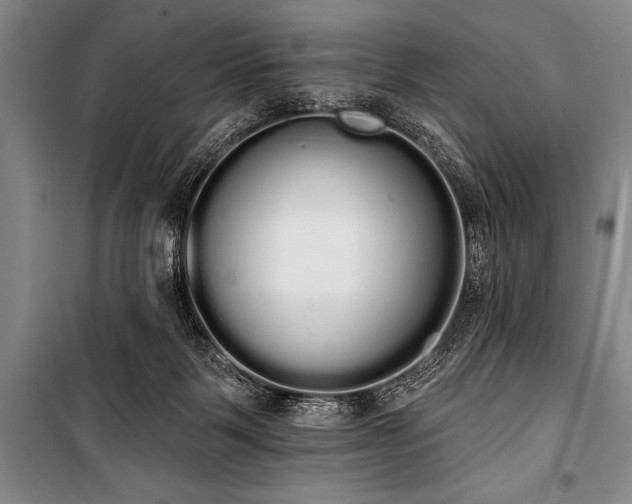 X0000101230123200806271520